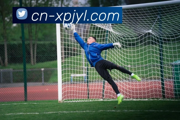 澳门新葡京娱乐平台生态图