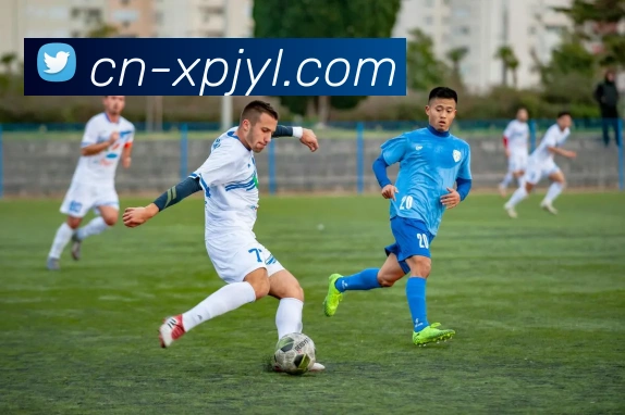 澳门新葡京娱乐APP 封面图